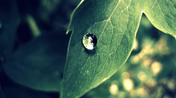 Pintu Pintu Kebaikan Dan Kewajiban Menjaga Lisan